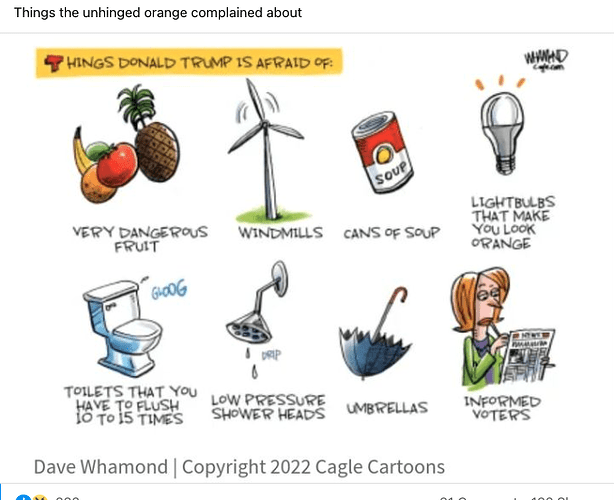 Screen Shot 2022-05-03 at 1.13.48 PM