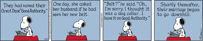 Peanuts Comic Strip for December 07, 2020