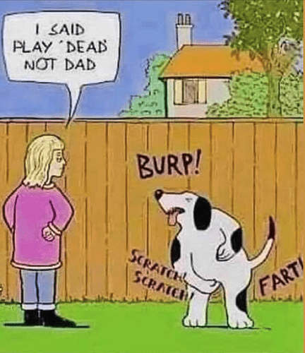 Screen Shot 2022-03-18 at 9.53.39 AM