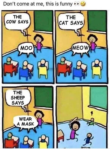 Sheep