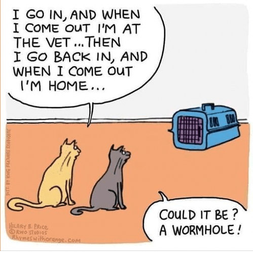 Screen Shot 2022-03-14 at 10.54.13 AM