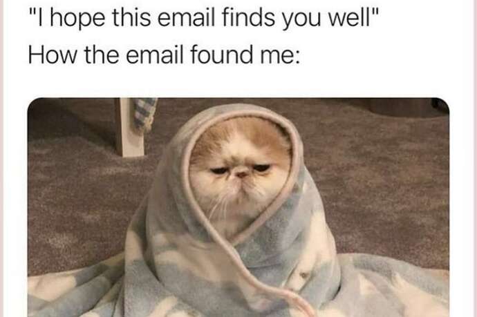 2021 Funny Memes Cats-1000x666px