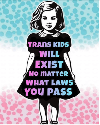 Potlitical truth trans kids