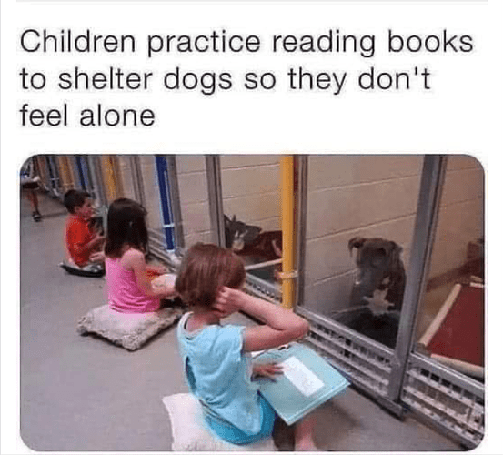 Screenshot 2023-05-06 at 8.31.39 PM