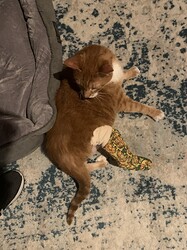 IMG_6892