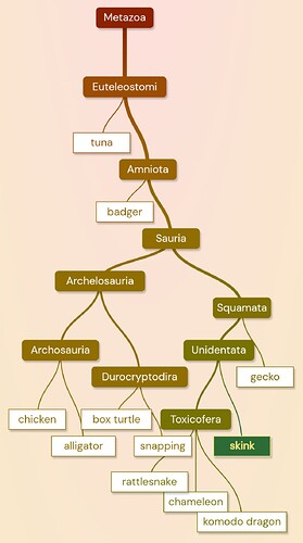 Screenshot_20231217-083630