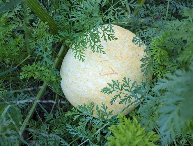 PXL_20230829_230923069