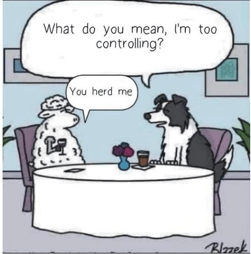 too controlling