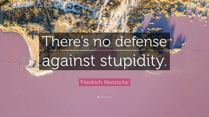 7715627-Friedrich-Nietzsche-Quote-There-s-no-defense-against-stupidity