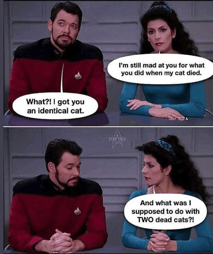 star trek two dead cats
