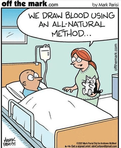 Screen Shot 2022-09-03 at 3.42.35 PM