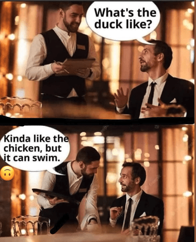 Duck
