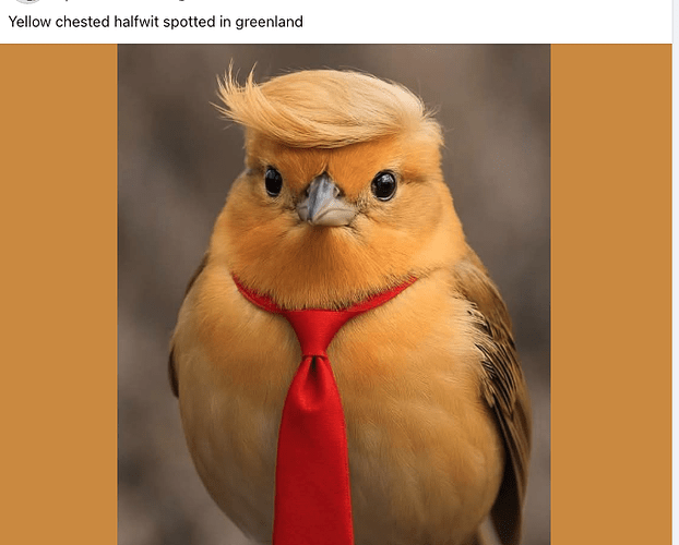 Screenshot 2025-04-09 at 8.58.55 AM