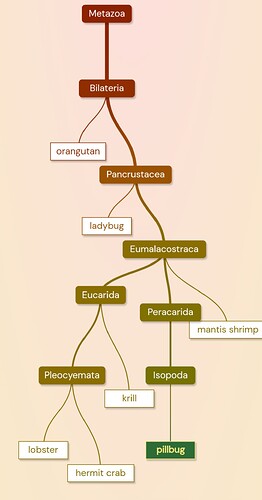 Screenshot_20231226-225615