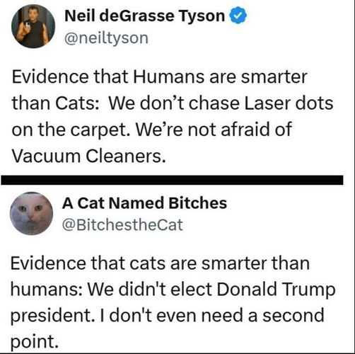 cats smarter than humans