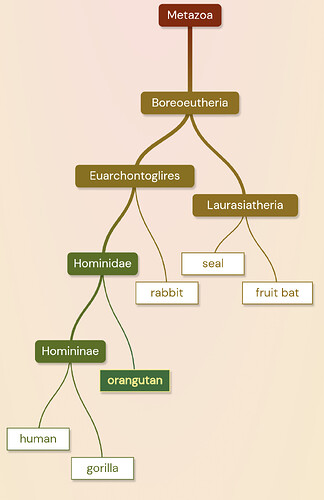 Screenshot_20231225-231117