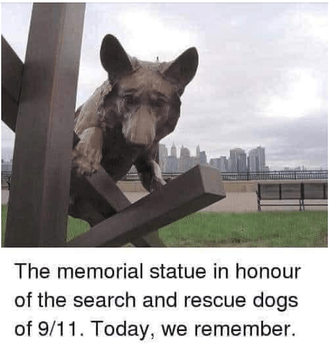 Screenshot 2024-09-14 at 7.43.56 AM