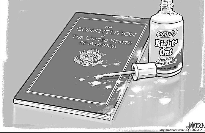 Constitution Right-out