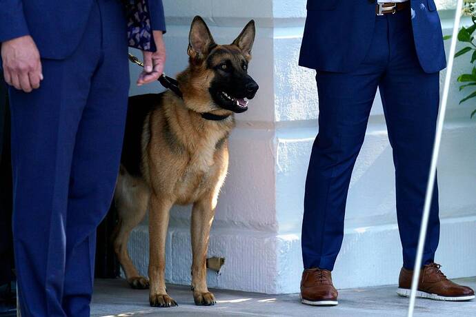 Moments after this picture was taken, the photographer was eaten by Commander, the Official White House Pet.