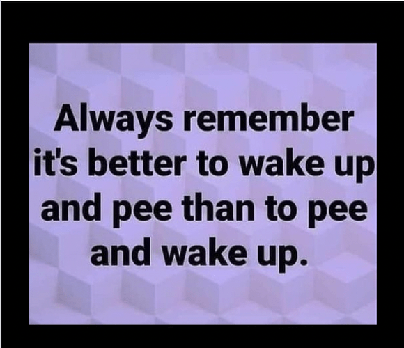 Screen Shot 2022-08-31 at 12.45.15 PM