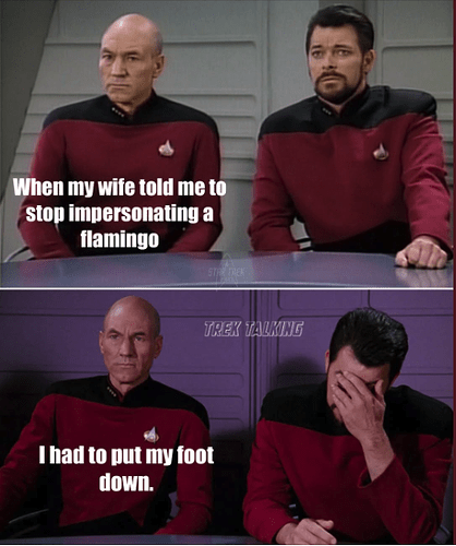star trek flamingo