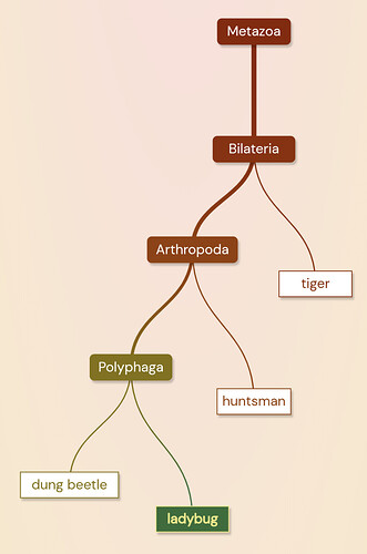 Screenshot_20231223-082659
