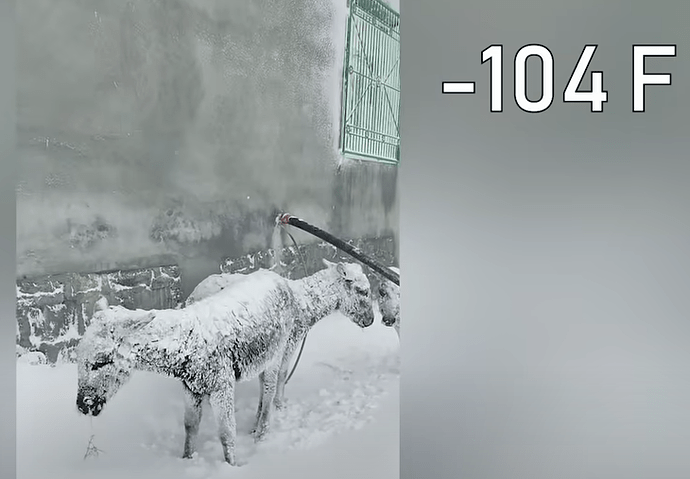40below