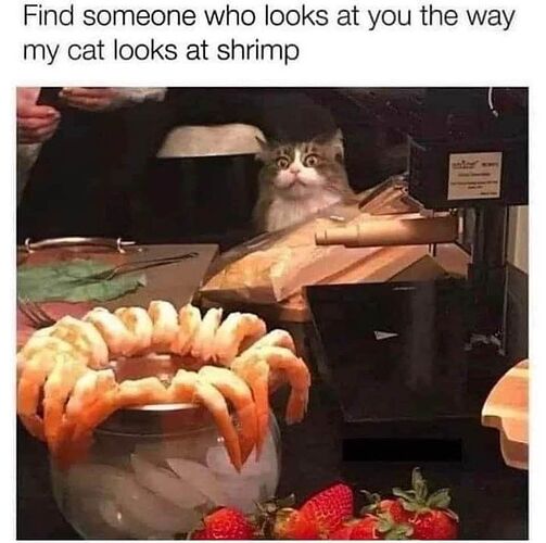 20240818_221015