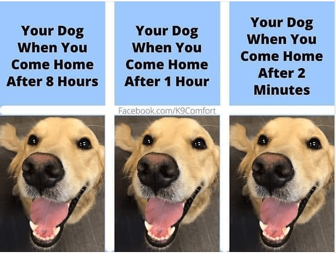 Screenshot 2024-09-18 at 5.22.30 PM