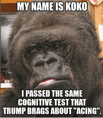 Screenshot 2025-04-17 at 3.14.51 PM