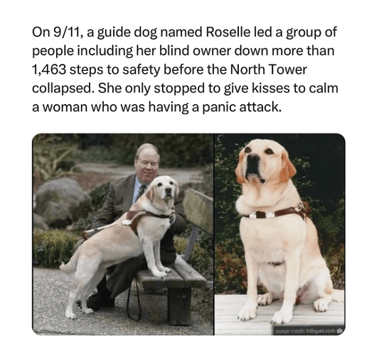 Screenshot 2024-12-25 at 11.53.29 PM