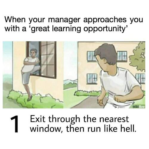 FB_IMG_1725805295994