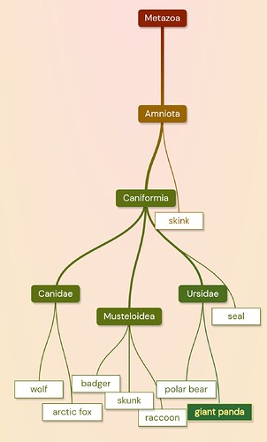 Screenshot_20231218-080141