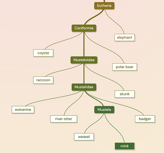 Screenshot 2024-02-12 at 7.21.38 PM