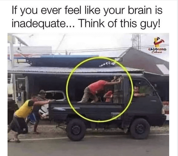Inadequate brain