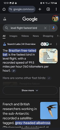 Screenshot_20241028_125130_Chrome