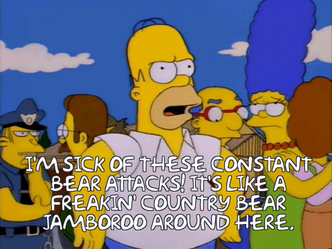 The Anti-Trans Moral Panic Has Reached "Bear Patrol" Levels of Absurdity