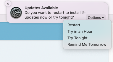 Screen Shot 2022-08-20 at 4.16.23 PM